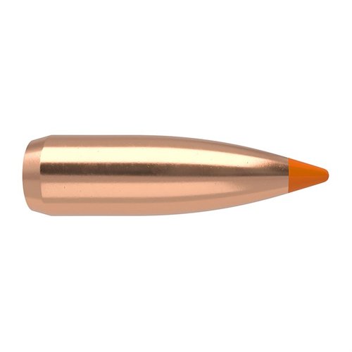 Nosler Ballistic Tip 22 cal (0.224